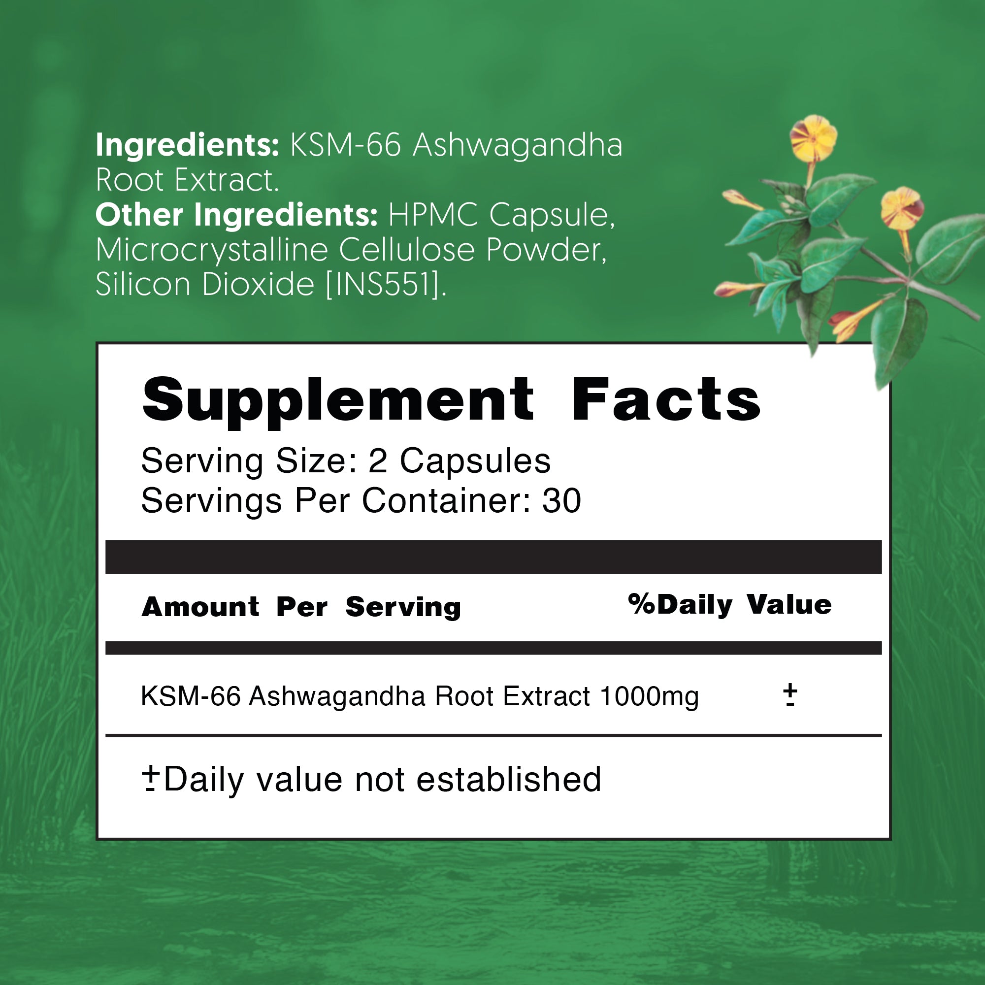 KSM-66® Ashwagandha Capsules