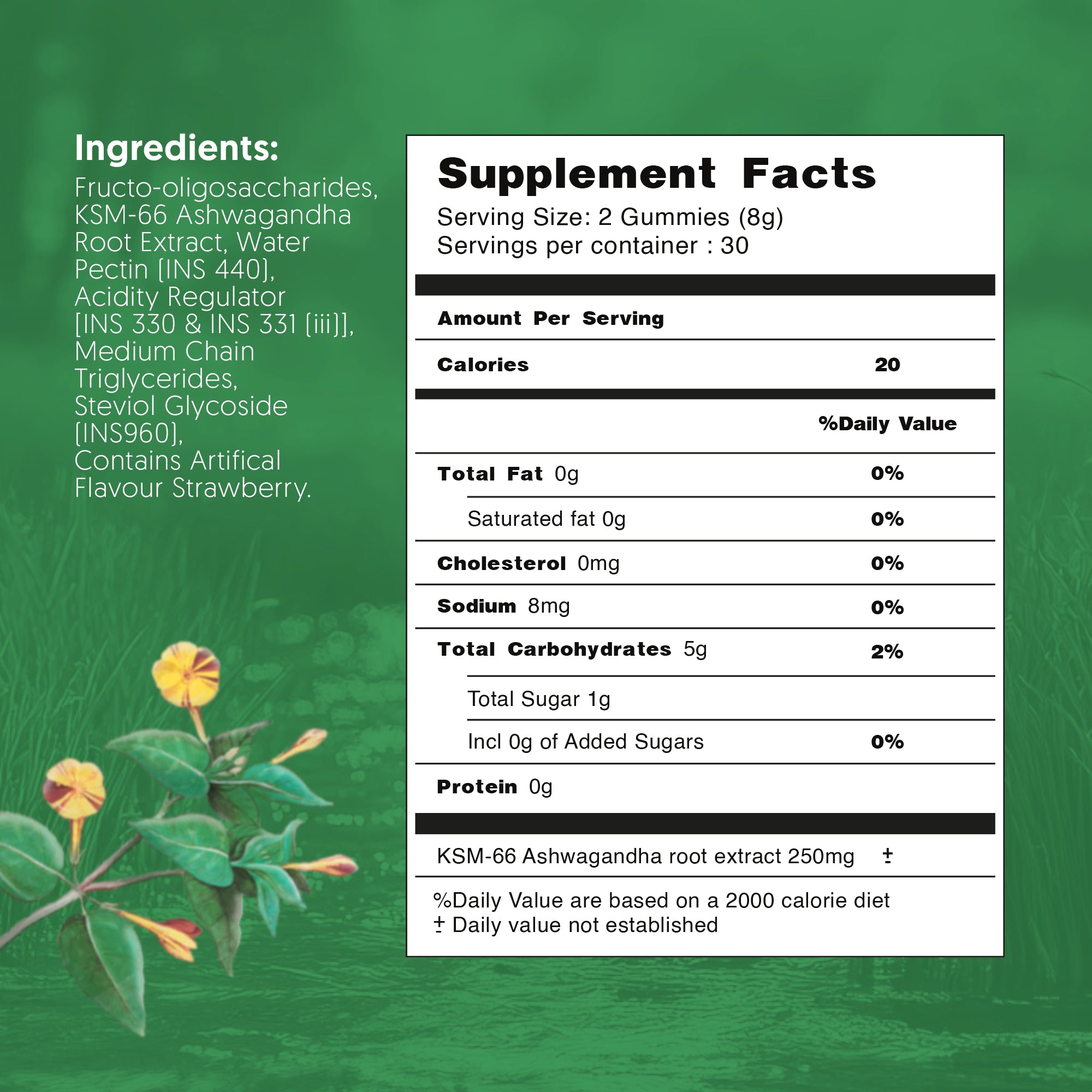 KSM-66® Ashwagandha Gummies (Strawberry)