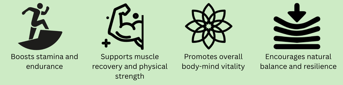 TRUBLK™ Shilajit Capsules Key Features