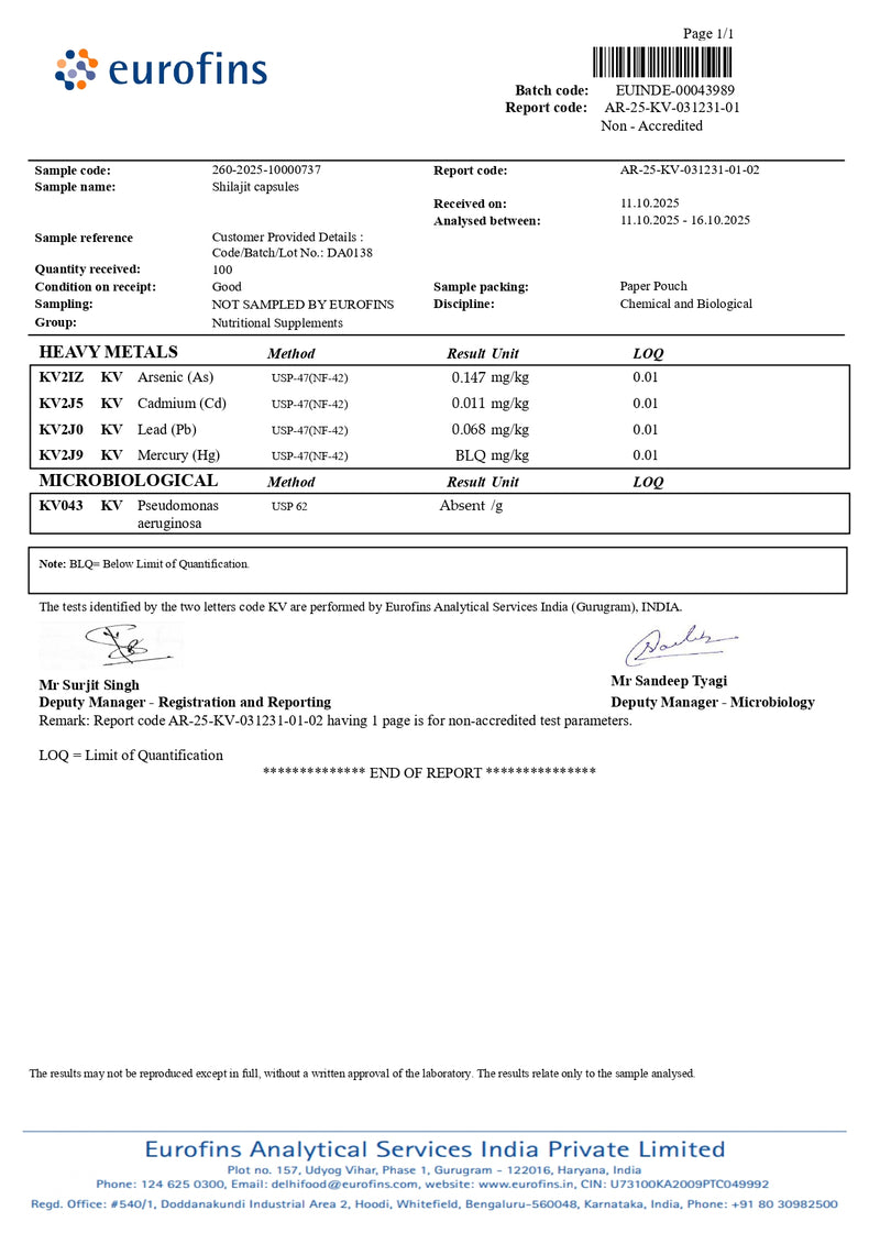 Lab Report 4